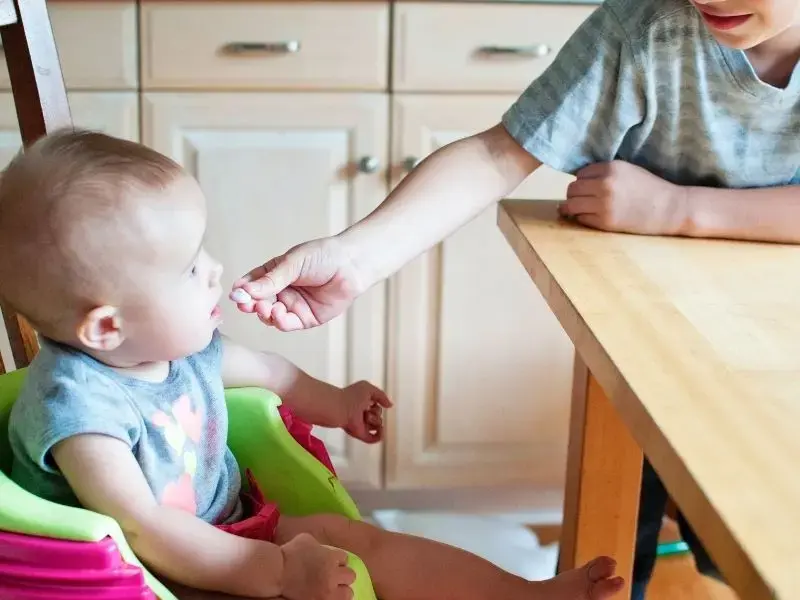 Bebekler Mantar Yiyebilir Mi?