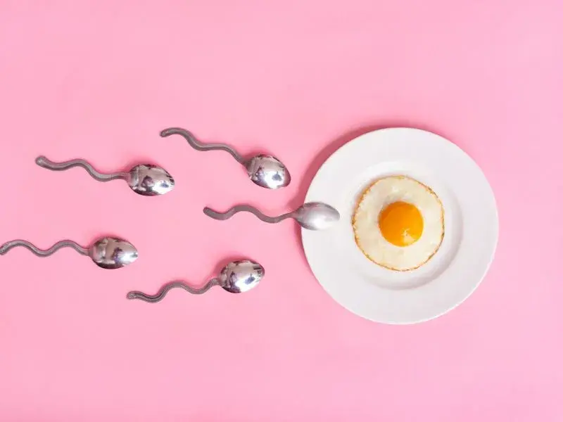Doğal Yollarla Sperm Sayısını Artırmanın 10 Yolu